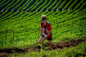 BIB: 
                            <button type="button" onclick="openModal(19160695)" class="btn btn-primary btn-sm float-right btn-popup" data-toggle="modal" data-target=".modal-high-quality">
                        <i class="fas fa-shopping-cart"></i> Add to Cart
                    </button>
                                            <button type="button" onclick="isThisMe(19160695, true)" class="btn btn-success btn-sm float-right btn-popup btn-isme hidden" data-toggle="tooltip" data-placement="bottom" title="นี่คือรูปของคุณใช่ไหม คลิกที่นี่เพื่อเอาเข้าอัลบั้ม">
                        <i class="fas fa-plus"></i> Add to album
                    </button>
                    <button type="button" onclick="isThisMe(19160695, false)" class="btn btn-warning btn-sm float-right btn-popup btn-isnotme hidden">
                        <i class="fas fa-ban"></i> Remove from album
                    </button>